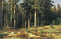 Mast Tree Grove, 1898, shishkin