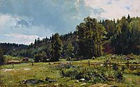 Meadow at the forest edge. Siverskaya, 1887, shishkin