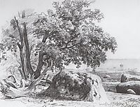 Oak on the shore of the Gulf of Finland, 1857, shishkin