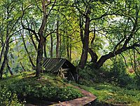 Old lime, 1894, shishkin