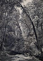 On a stream, 1895, shishkin