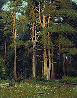 Pine forest in Ligovo, 1895, shishkin