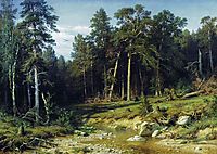 Pine Forest in Vyatka Province, 1872, shishkin
