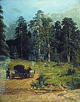 Polesye, 1883, shishkin
