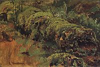 Rotten wood, covered with moss, 1890, shishkin