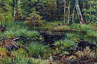 Spring in the forest, 1892, shishkin