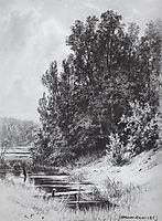 Stream, 1883, shishkin