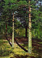 The Sun lit Pines, 1886, shishkin