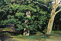 Trees, shishkin