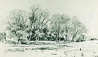 Trees in the field. Bratsevo, 1866, shishkin