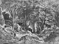 Valaam. Forest on the rocks, 1859, shishkin