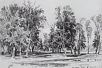 Zelenina grove, 1871, shishkin