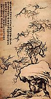 Prunus among the Rocks, 1707, shitao