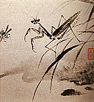 Studies of insects, Mante, 1707, shitao