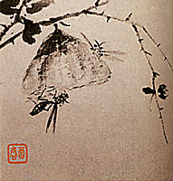 Studies of insects, wasps, 1707, shitao