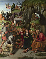Adoration of the Shepherds, signorelli