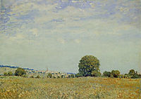 Fields at Saint Cloud, sisley