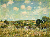 Meadow, 1875, sisley