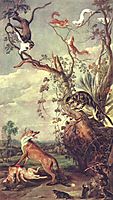 Fox and cat, snyders