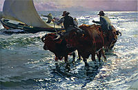 Bulls in the Sea, sorolla