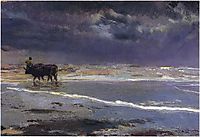 Gray day on Valencia beach, 1901, sorolla