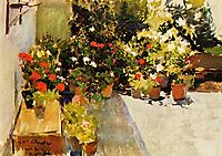 A Rooftop with Flowers, 1906, sorolla