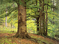 Beech Trees, 1895, steele