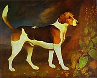 A Foxhound, Ringwod, 1792, stubbs