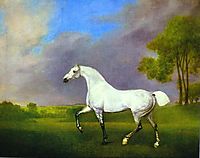 A Grey Horse, 1793, stubbs