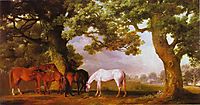 Mares and Foals in a Wooded Landscape, 1762, stubbs