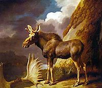 The Moose, 1773, stubbs