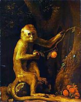 Portrait of a Monkey , 1774, stubbs