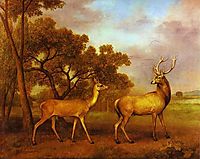 Red Deer Stag and Hind, 1792, stubbs