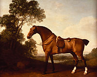 A Saddled Bay Hunter, 1786, stubbs