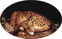 Sleeping Leopard, 1777, stubbs