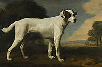 Viscount Gormanston-s White Dog, 1781, stubbs
