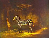 Zebra, 1763, stubbs