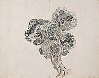 Untitled (a tree without leaves), taiga