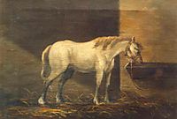 Horse in the Barn, tattarescu