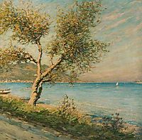 The Mulberry Tree, thangue