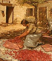 Packing Cherries in Provence, France, 1923, thangue