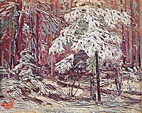 Snow in the Woods, thomson