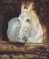 White Horse , 1881, toulouselautrec