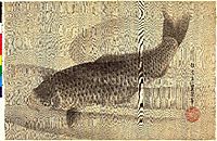 Grey carp in water, toyokuniii