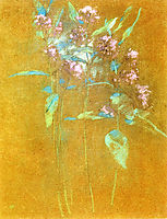 Wildflowers, c.1891, twachtman