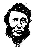 Portrait of Henry David Thoreau , 1896, vallotton