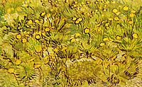 A Field of Yellow Flowers, 1889, vangogh