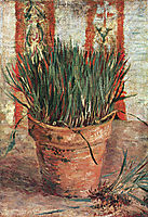 Flowerpot with Chives , 1887, vangogh