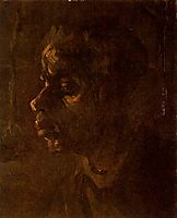 Head of a Peasant Woman, vangogh