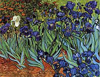 Irises, 1889, vangogh